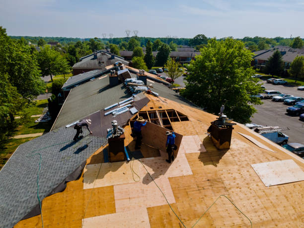 Best Storm Damage Roof Repair  in Alexandria, IN