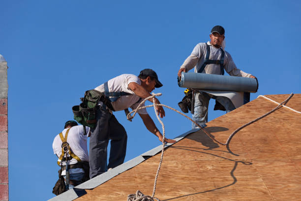 Best Storm Damage Roof Repair  in Alexandria, IN