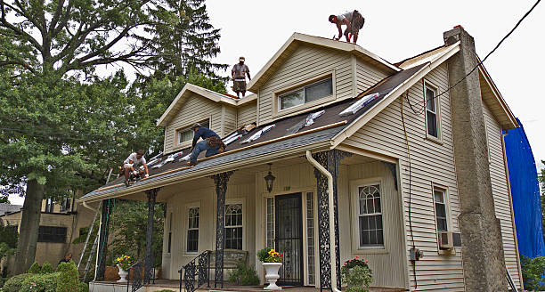 Best Metal Roofing Contractor  in Alexandria, IN